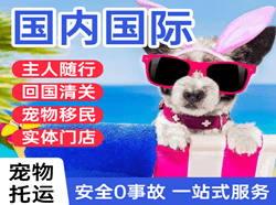 兴凯湖机场邮寄国际宠物托运 【国